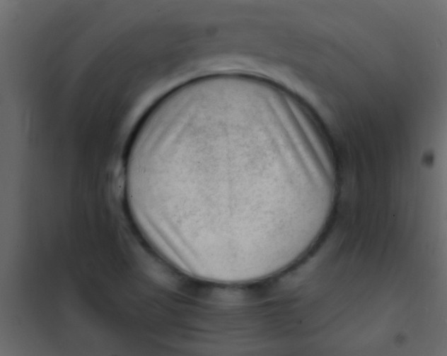X0000101111509200807171924