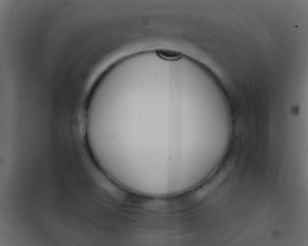 X0000101111510200807171924