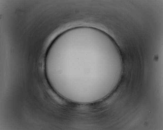 X0000101111511200807171924