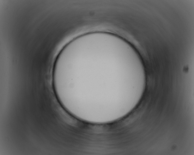 X0000101111512200807171924