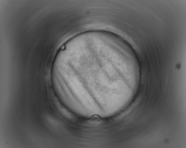 X0000101111513200807171924