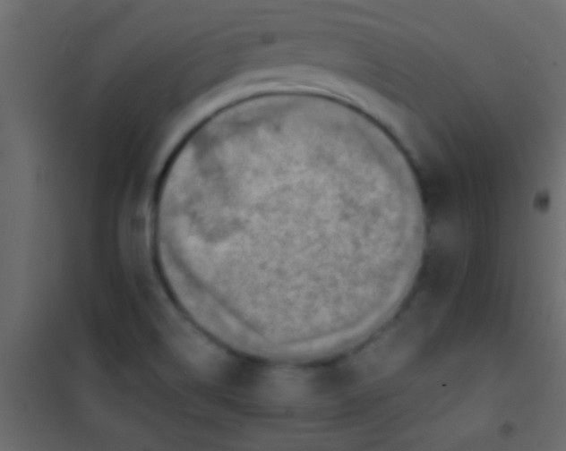 X0000101111514200807171924