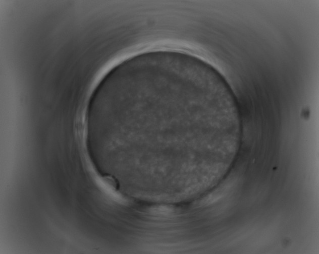 X0000101111515200807171924