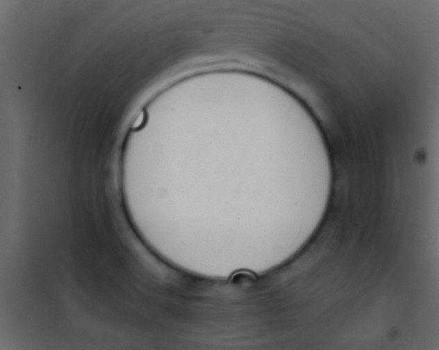 X0000101111516200807171924