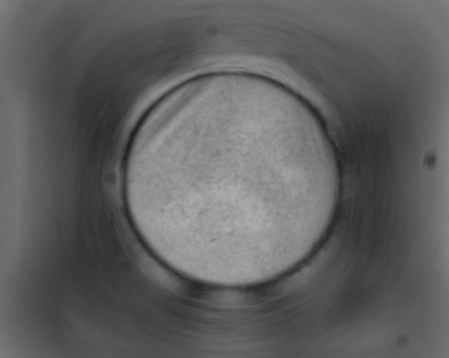 X0000101111517200807171924