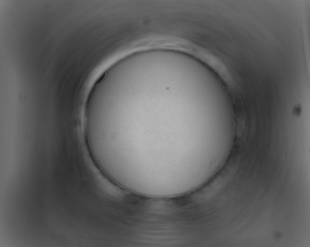 X0000101111520200807171924