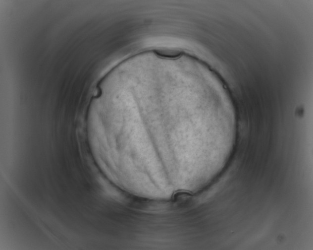 X0000101111521200807171924