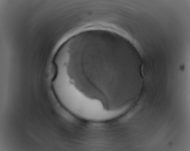 X0000101111522200807171924