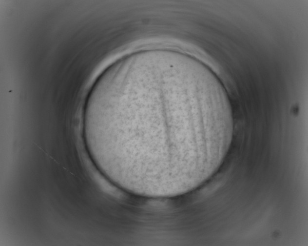 X0000101111523200807171924