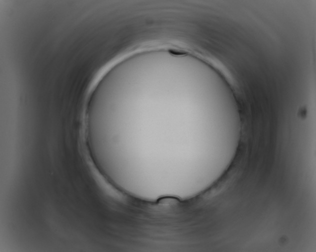 X0000101111524200807171924