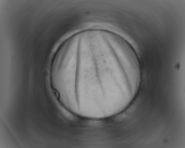 X0000101111525200807171924
