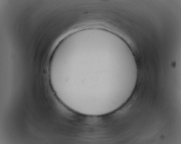 X0000101111526200807171924