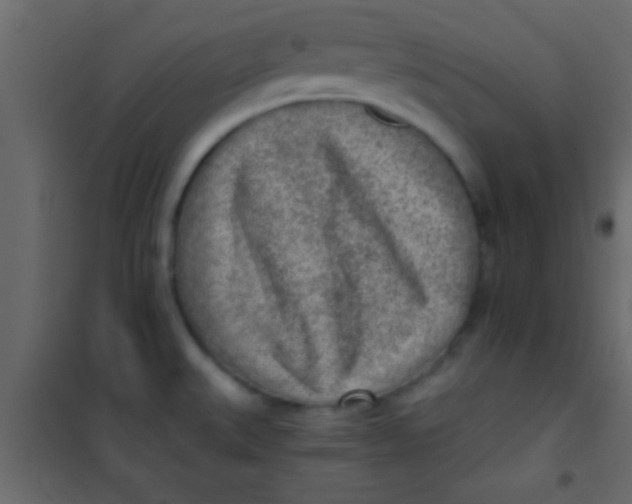 X0000101111527200807171924