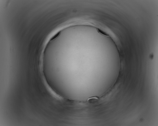 X0000101111528200807171924