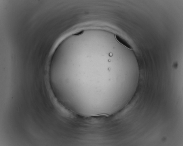 X0000101111530200807171924