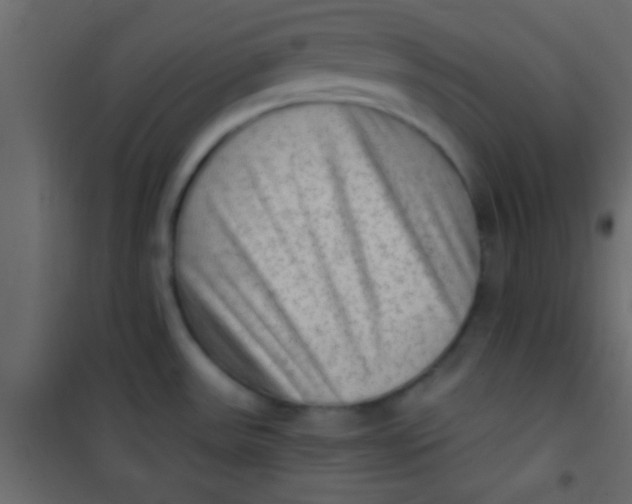 X0000101111531200807171924
