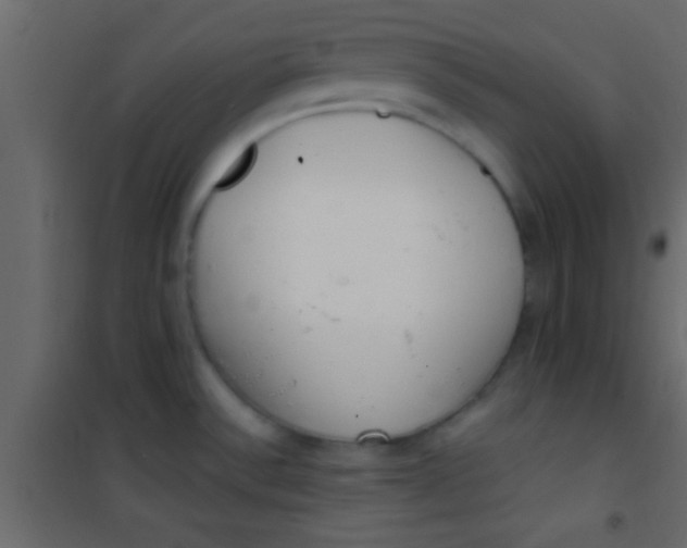 X0000101111532200807171924