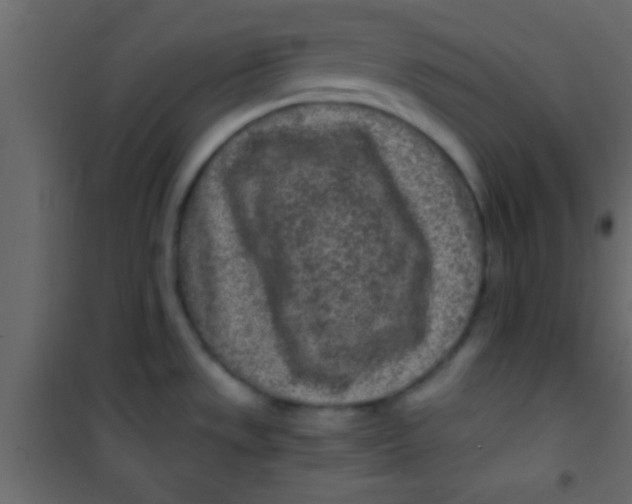 X0000101111533200807171924