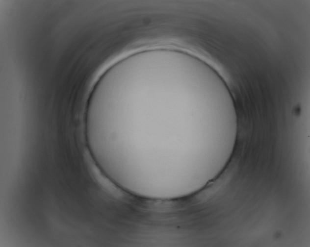 X0000101111534200807171924