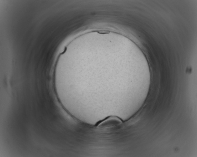 X0000101111536200807171924