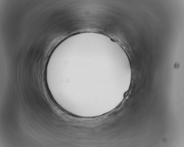 X0000101110001200807241146