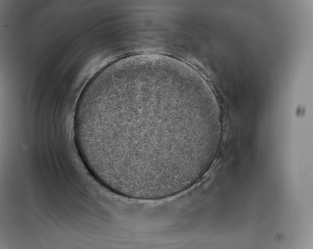 X0000101110002200807241146