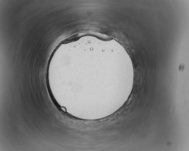 X0000101110003200807241146