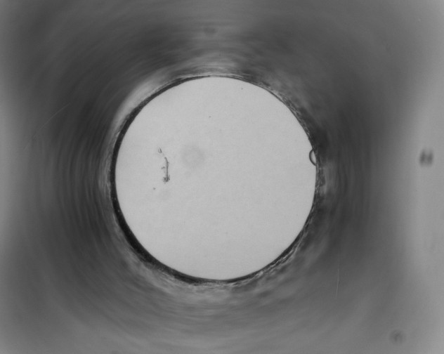 X0000101110004200807241146