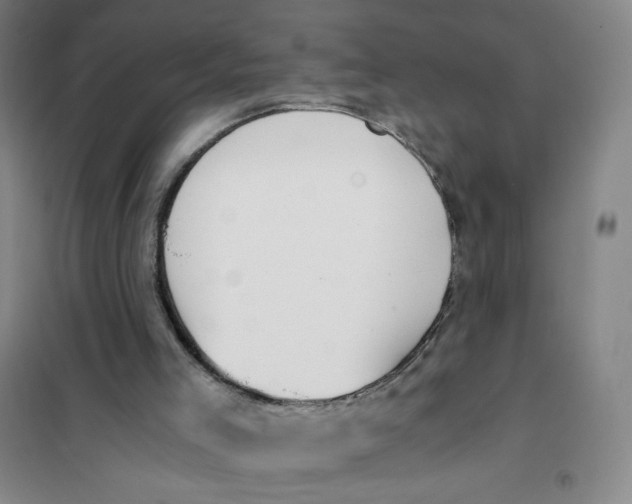 X0000101110005200807241146