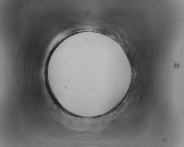 X0000101110006200807241146
