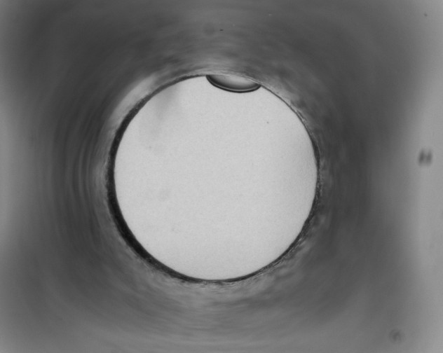 X0000101110007200807241146