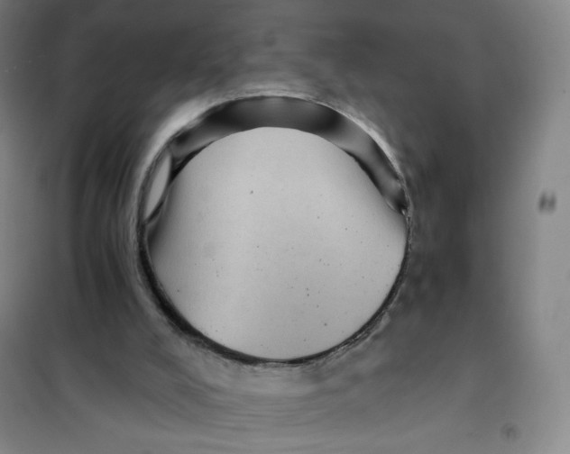 X0000101110008200807241146
