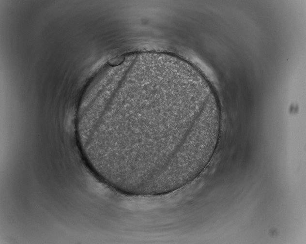 X0000101110009200807241146