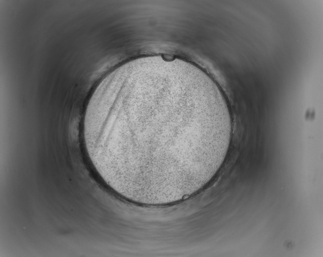 X0000101110010200807241146