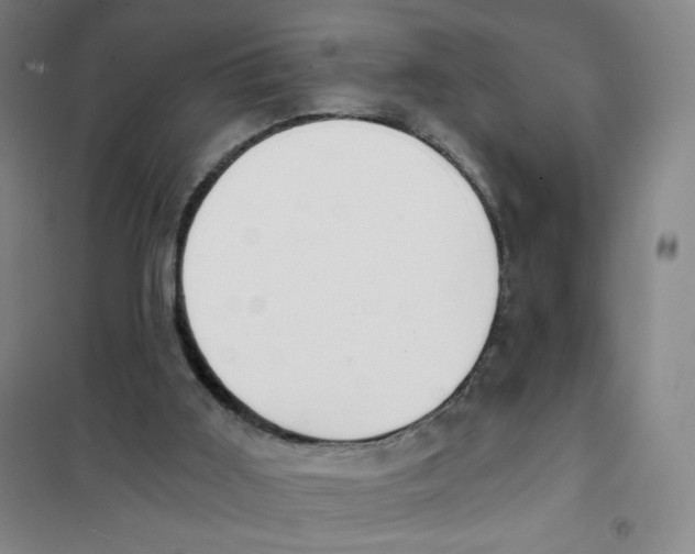 X0000101110011200807241146