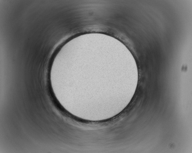 X0000101110012200807241146