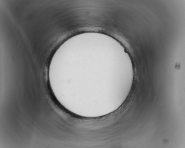 X0000101110013200807241146