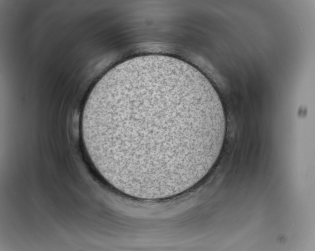 X0000101110014200807241146