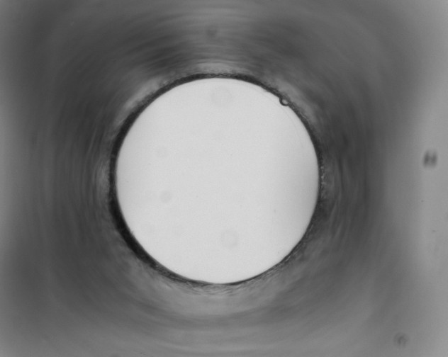 X0000101110015200807241146