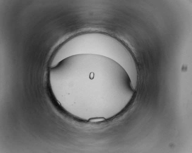 X0000101110016200807241146