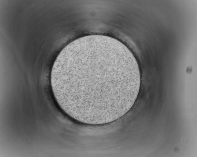 X0000101110017200807241146