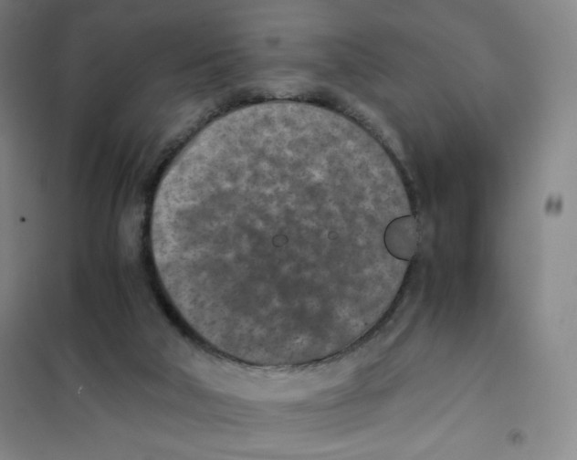 X0000101110018200807241146