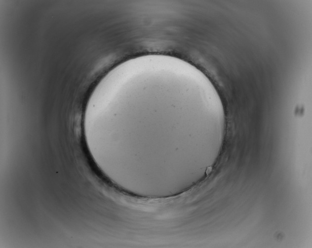 X0000101110019200807241146