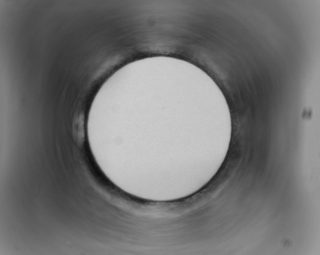 X0000101110020200807241146