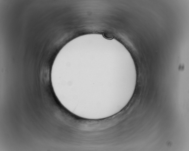 X0000101110021200807241146