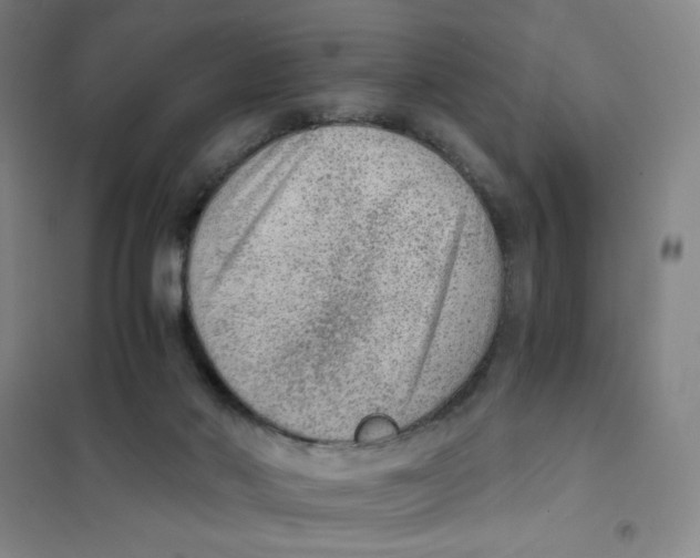 X0000101110022200807241146