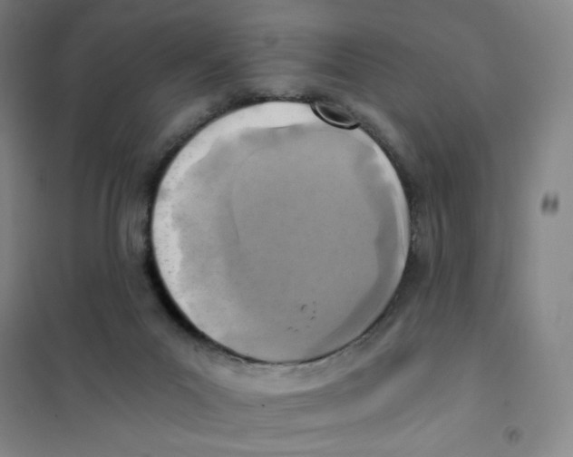 X0000101110023200807241146