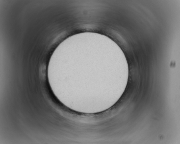 X0000101110024200807241146