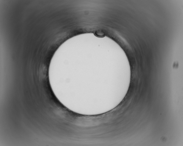 X0000101110025200807241146