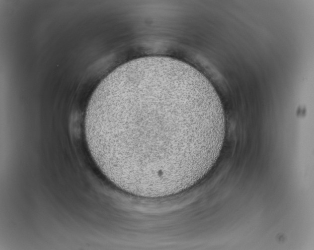 X0000101110026200807241146
